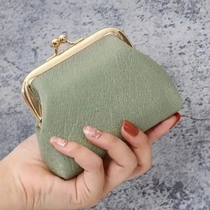 Light sage green vintage styled coin purse kiss lock closure